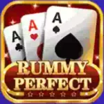 rummy Perfect Logos